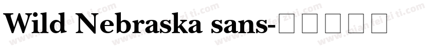Wild Nebraska sans字体转换